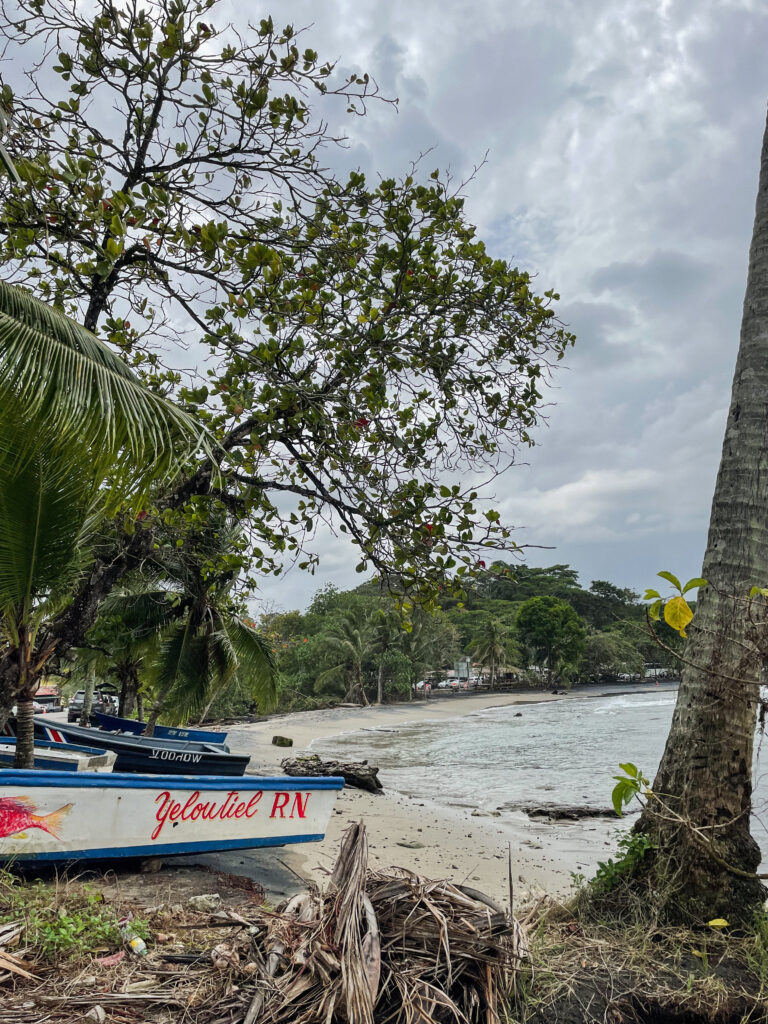 Playa Negra is located near Puerto Viejo town centre