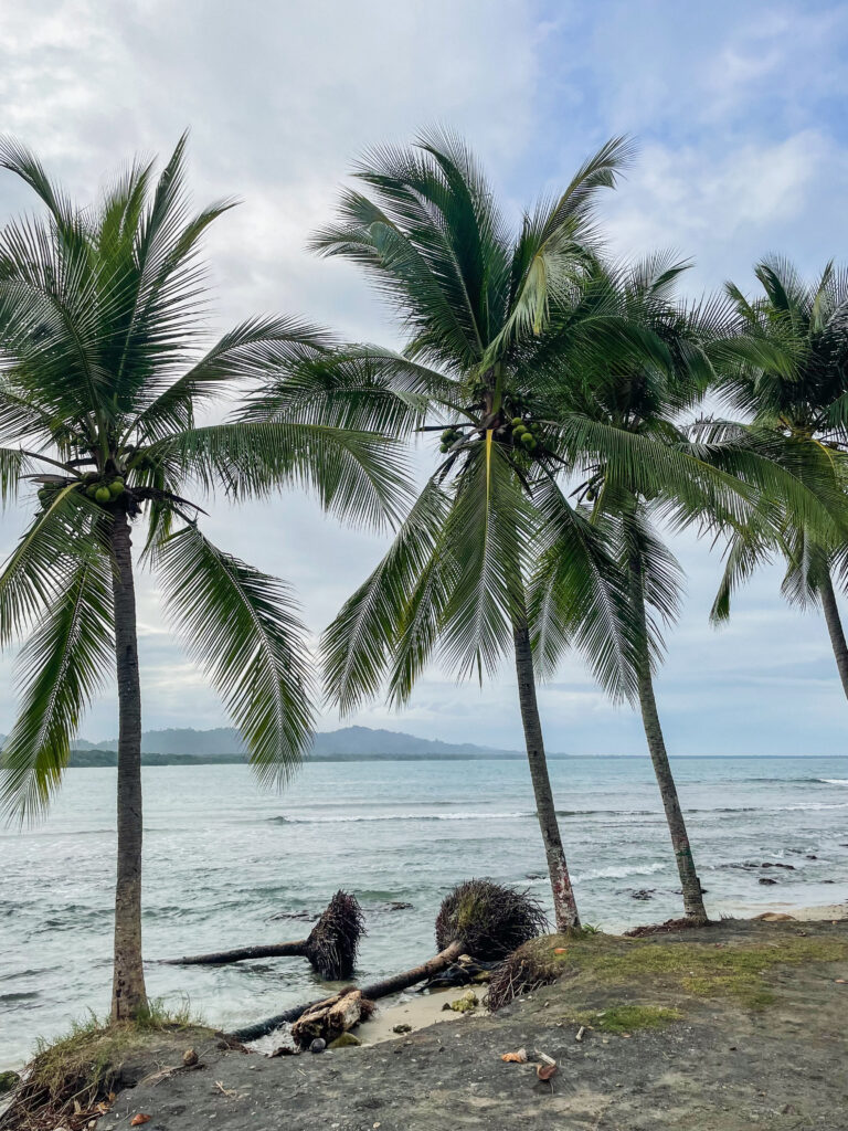 Puerto Viejo, the laid-back town on the Caribbean side of Costa Rica