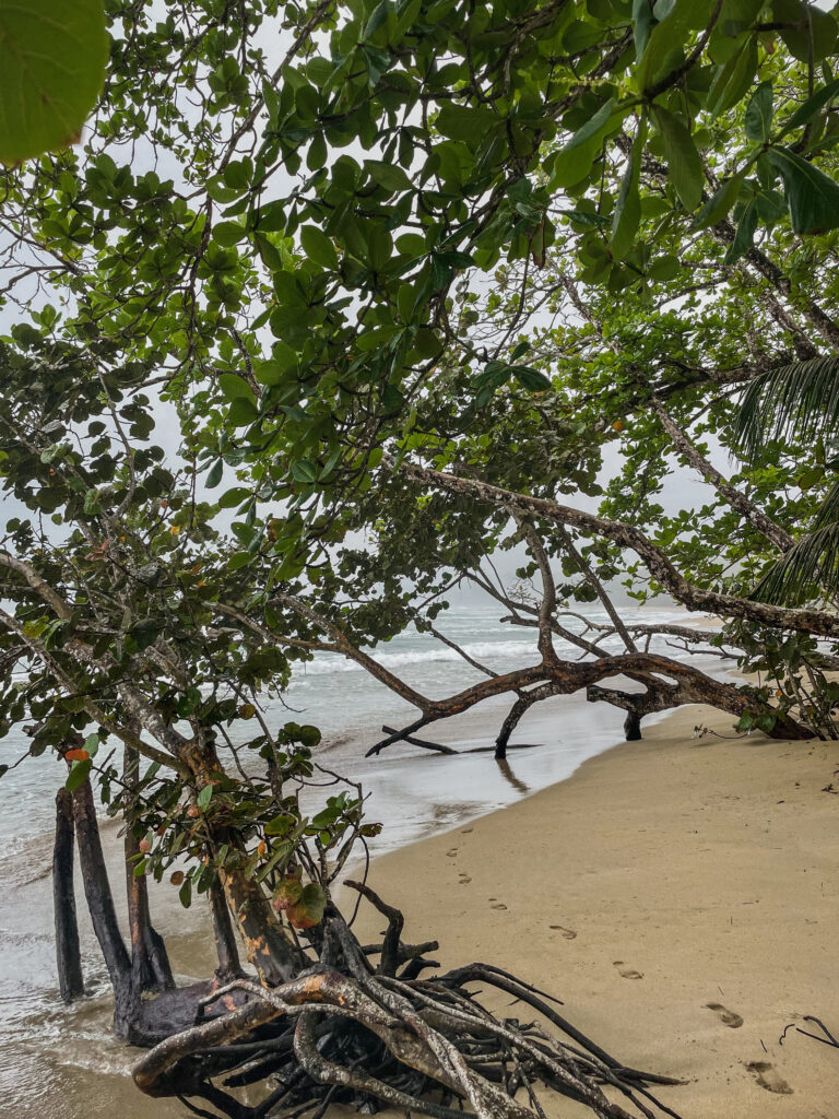 Punta Uva near Puerto Viejo in Costa Rica