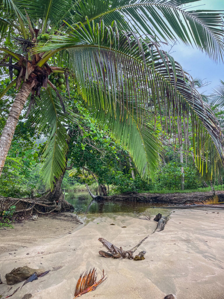 Punta Uva during a rainy morning