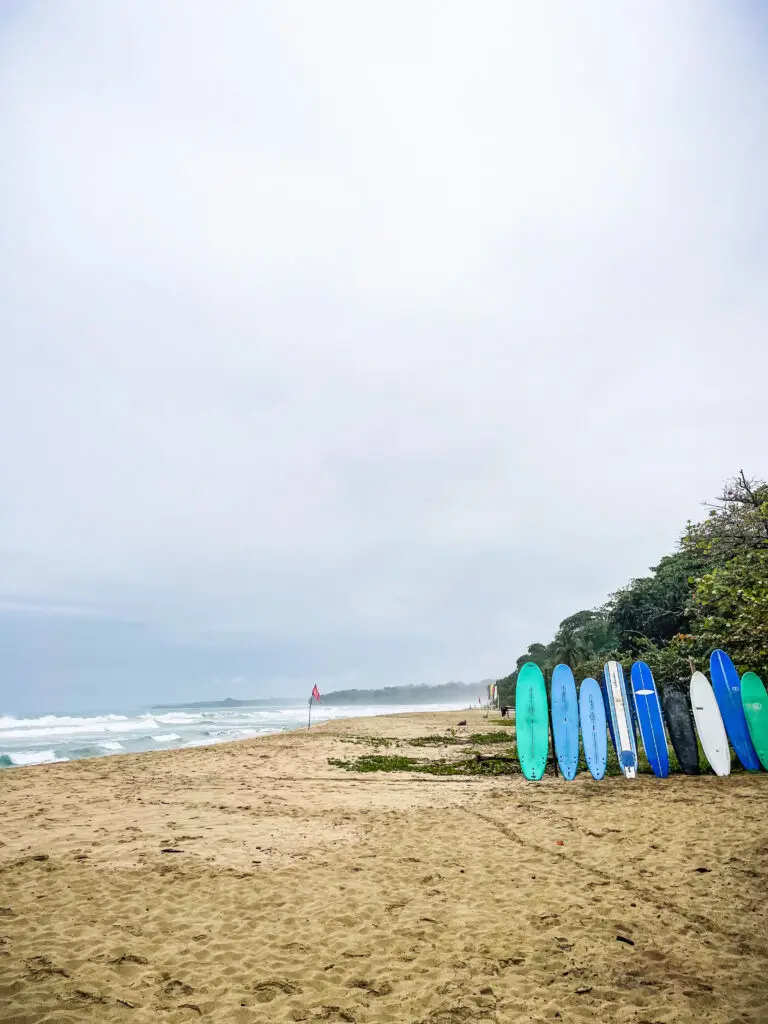 Surf board rentals in Playa Cocles