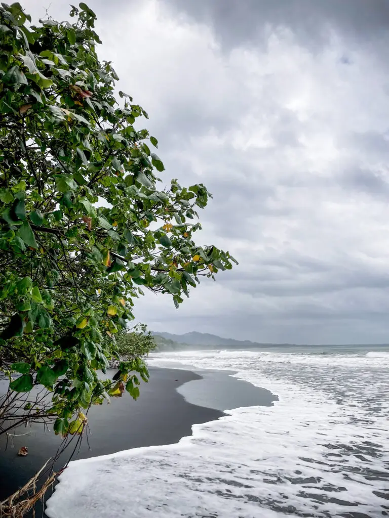 Dark clouds, lush vegetation and black sand at Playa Negra in Puerto Viejo