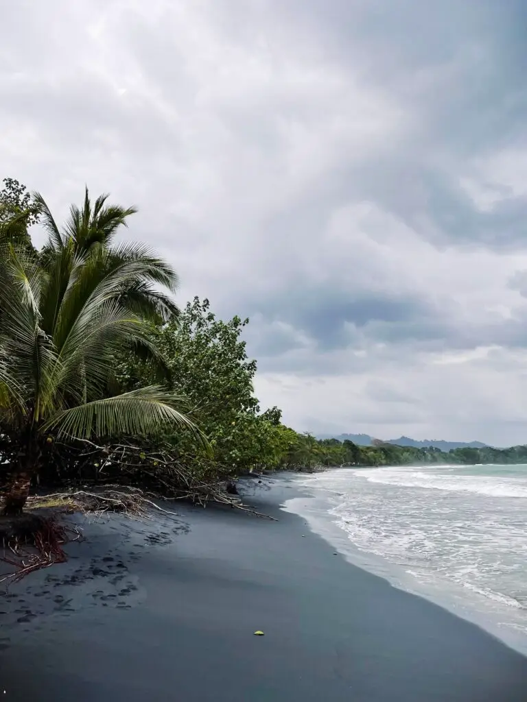 Black, volcanic sand at Playa Negra in Costa Rica