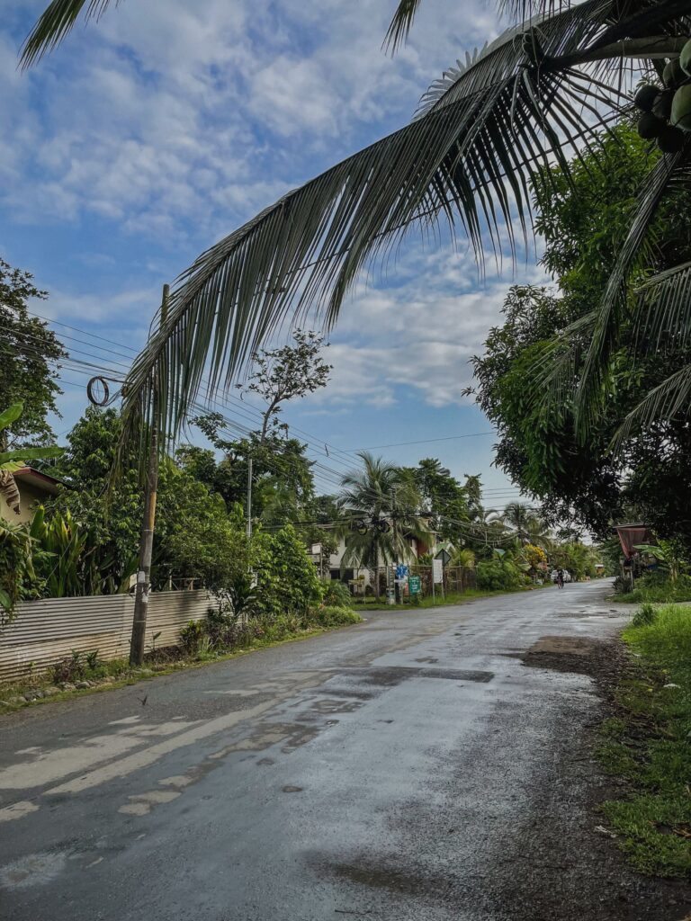 Picturesque and lush streets of downtown Puerto Viejo