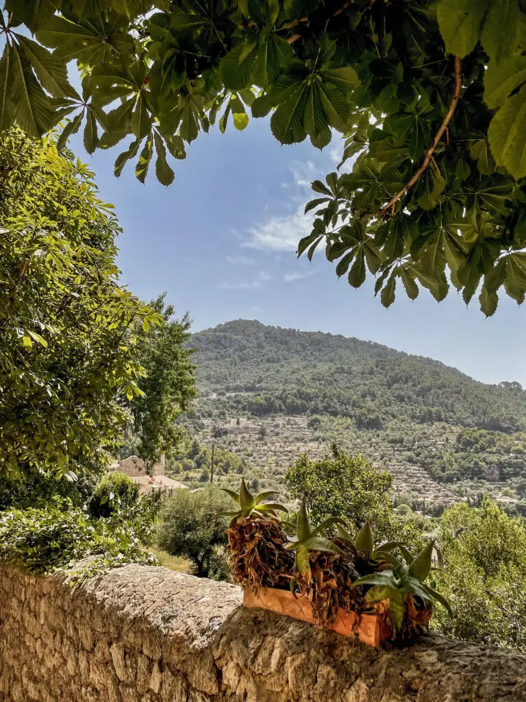 Views from Valldemossa