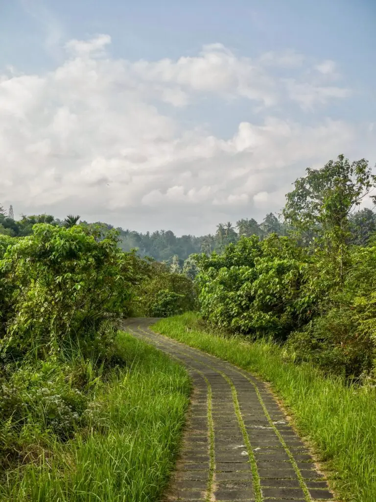 Campuhan Ridge Walk in central Ubud