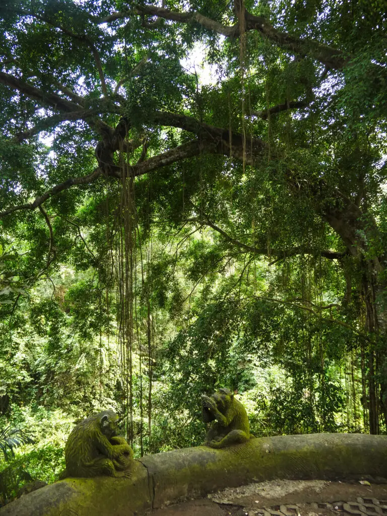 Sacred Monkey Forest