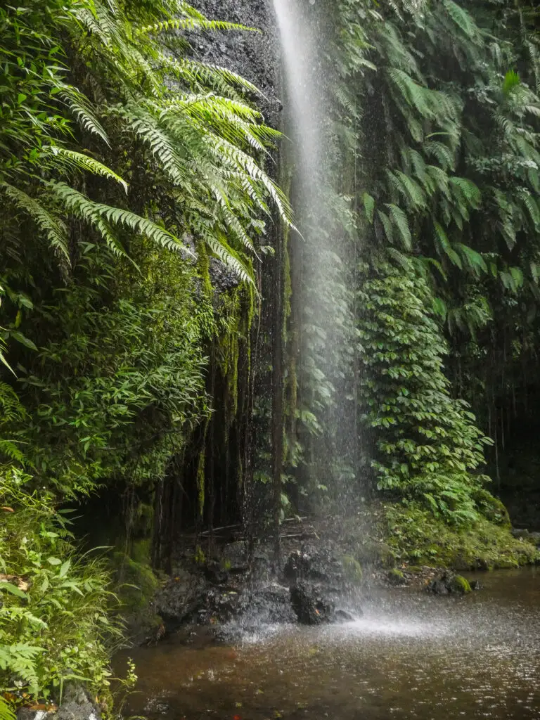 Lush waterfalls in Lombok