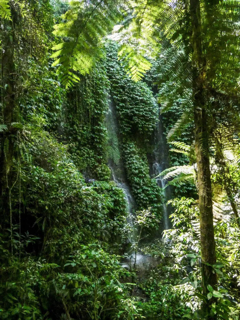 Visiting the waterfalls of Lombok is a fun activity to do in Kuta Lombok