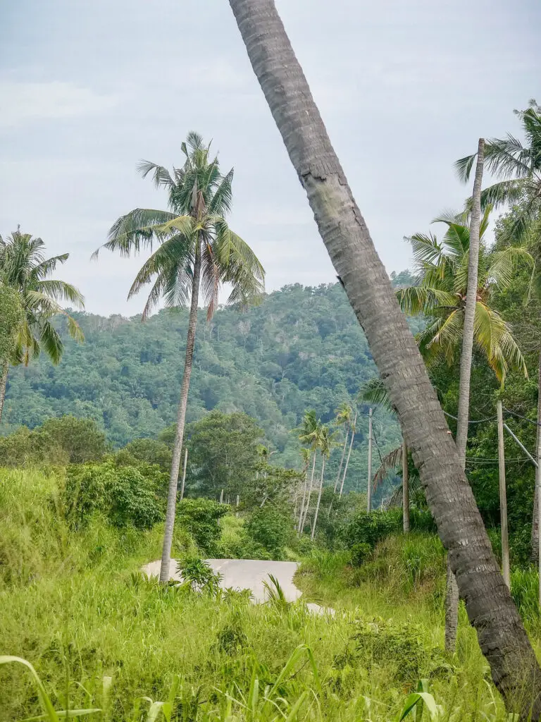 Beautiful scenery along the roads in northern Borneo