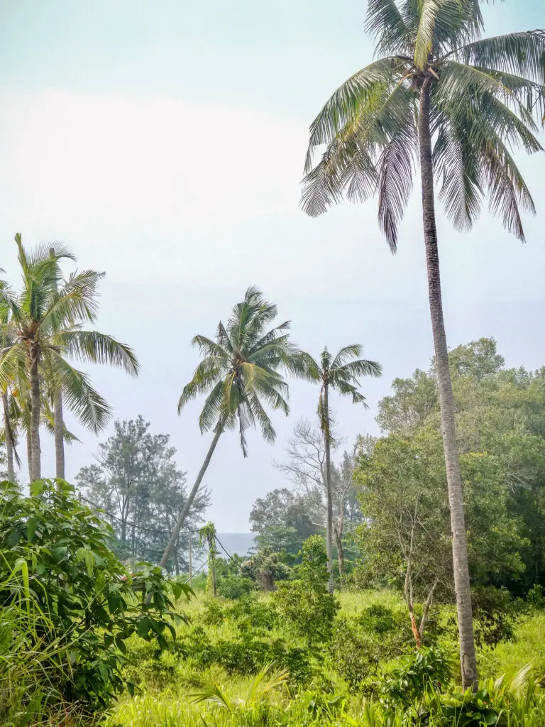 Visiting the unexplored gems of Borneo