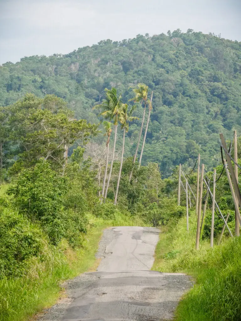 Driving to Tip of Borneo along jungle roads