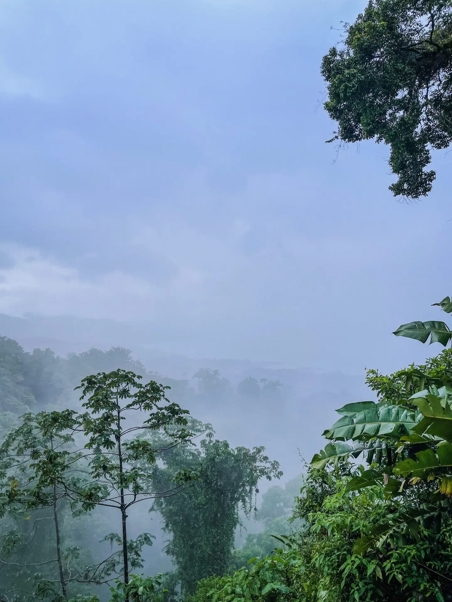 Misty rainforest in La Fortuna in Costa Rica