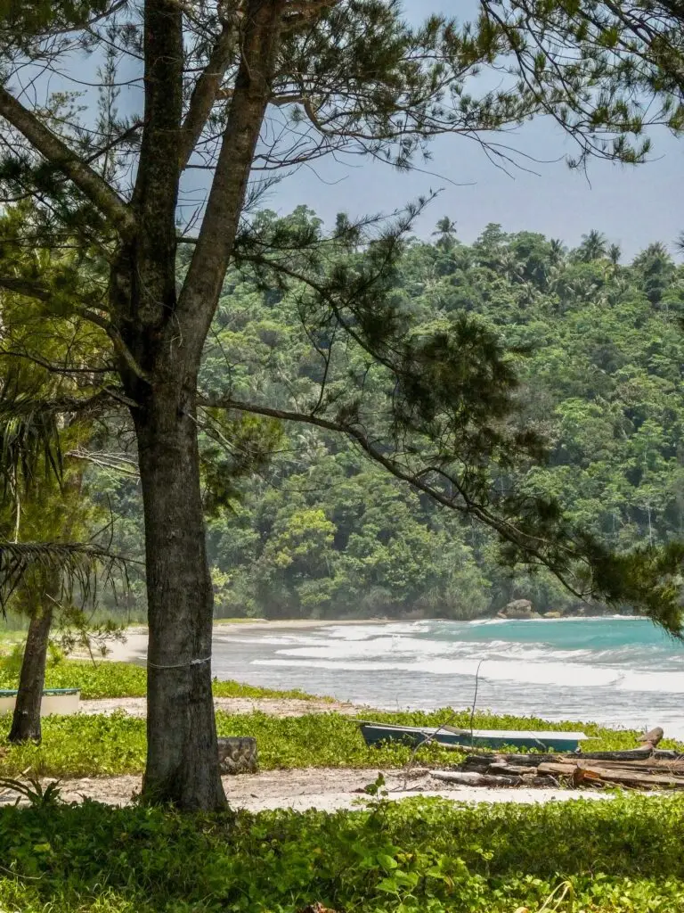 Beautiful, empty beaches can be found in Tip of Borneo