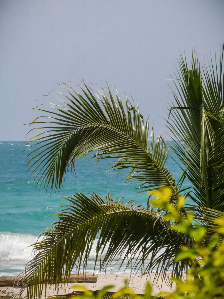 Tropical paradise in Tip of Borneo