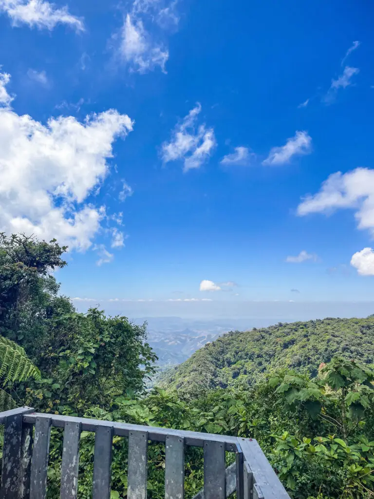 View of the Monteverde cloud forests from La Ventana viewpoint