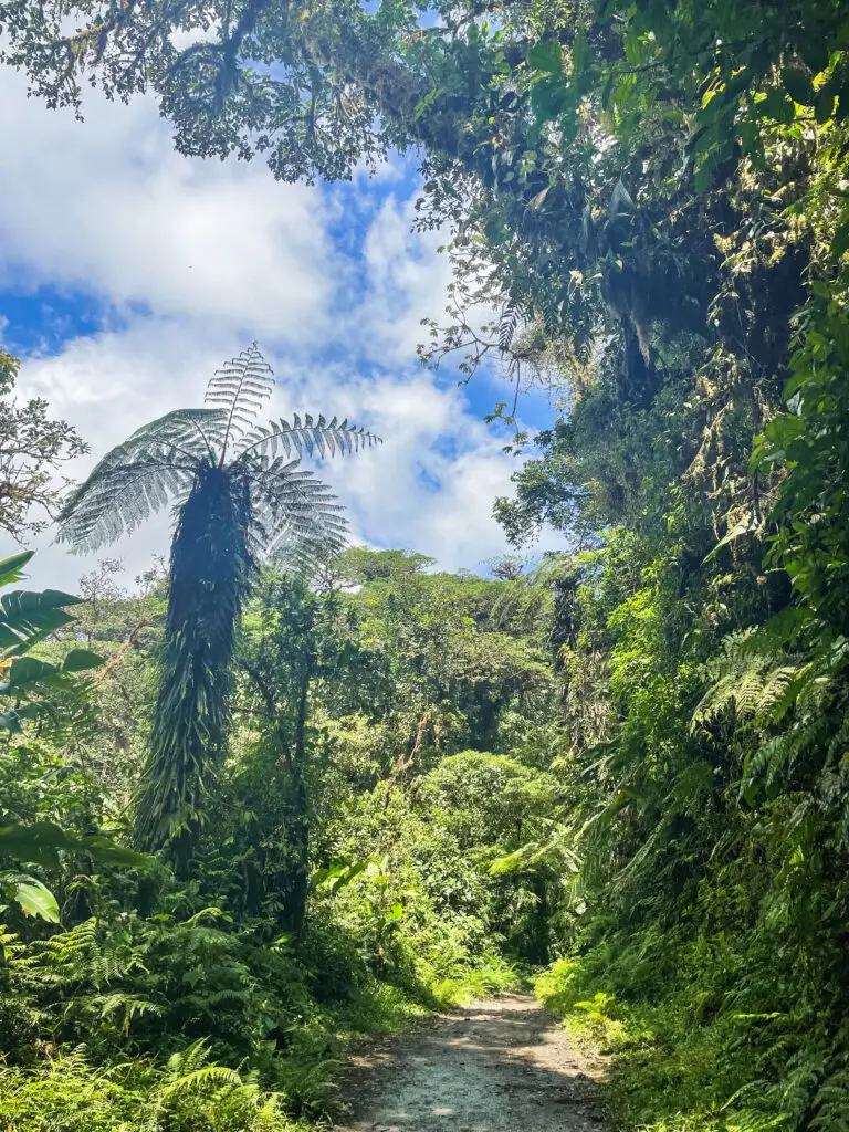 Good weather and blue skies in Monteverde 