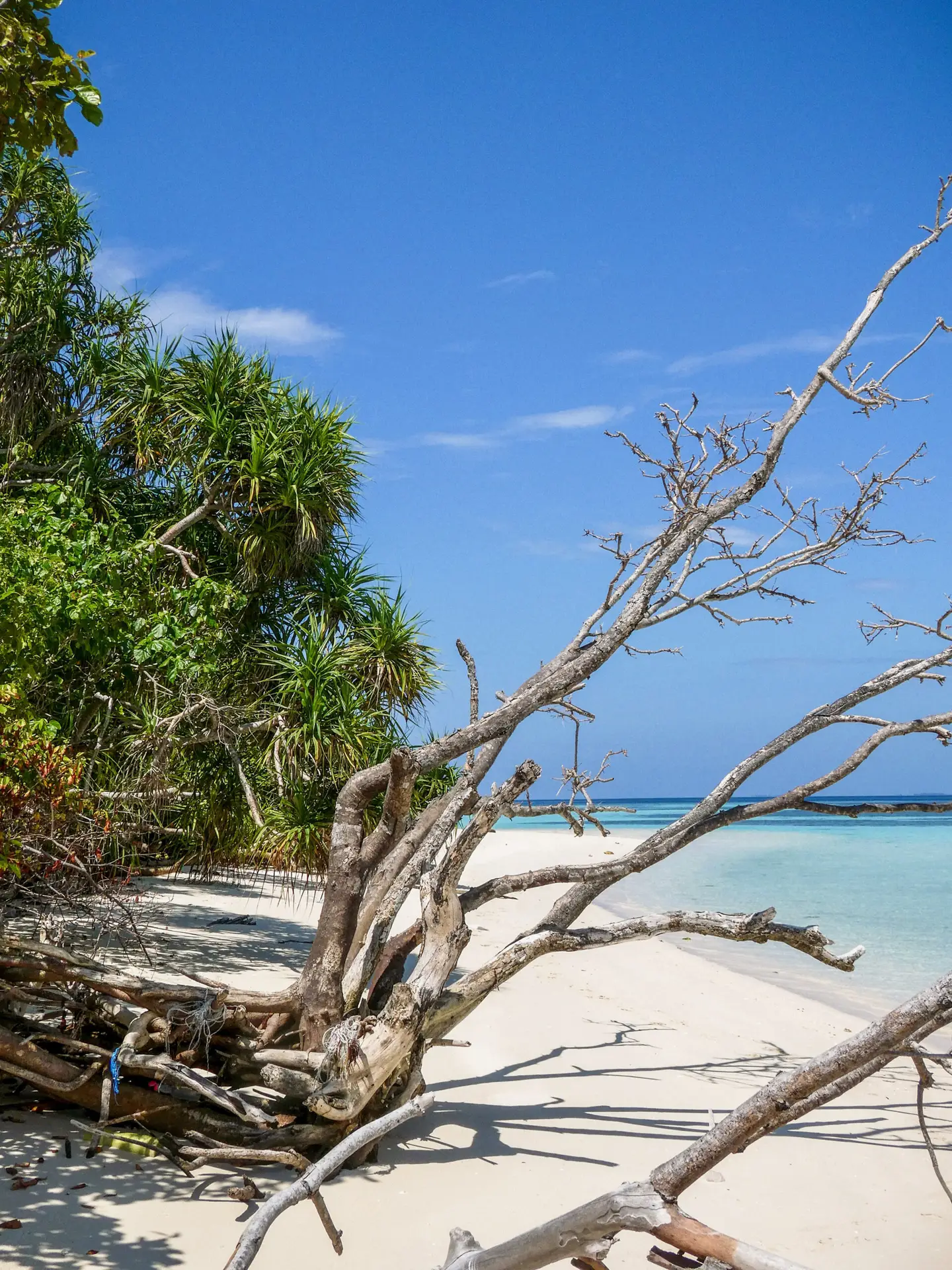 White sand beaches, lush forest and turquoise water is common in Semporna in Borneo