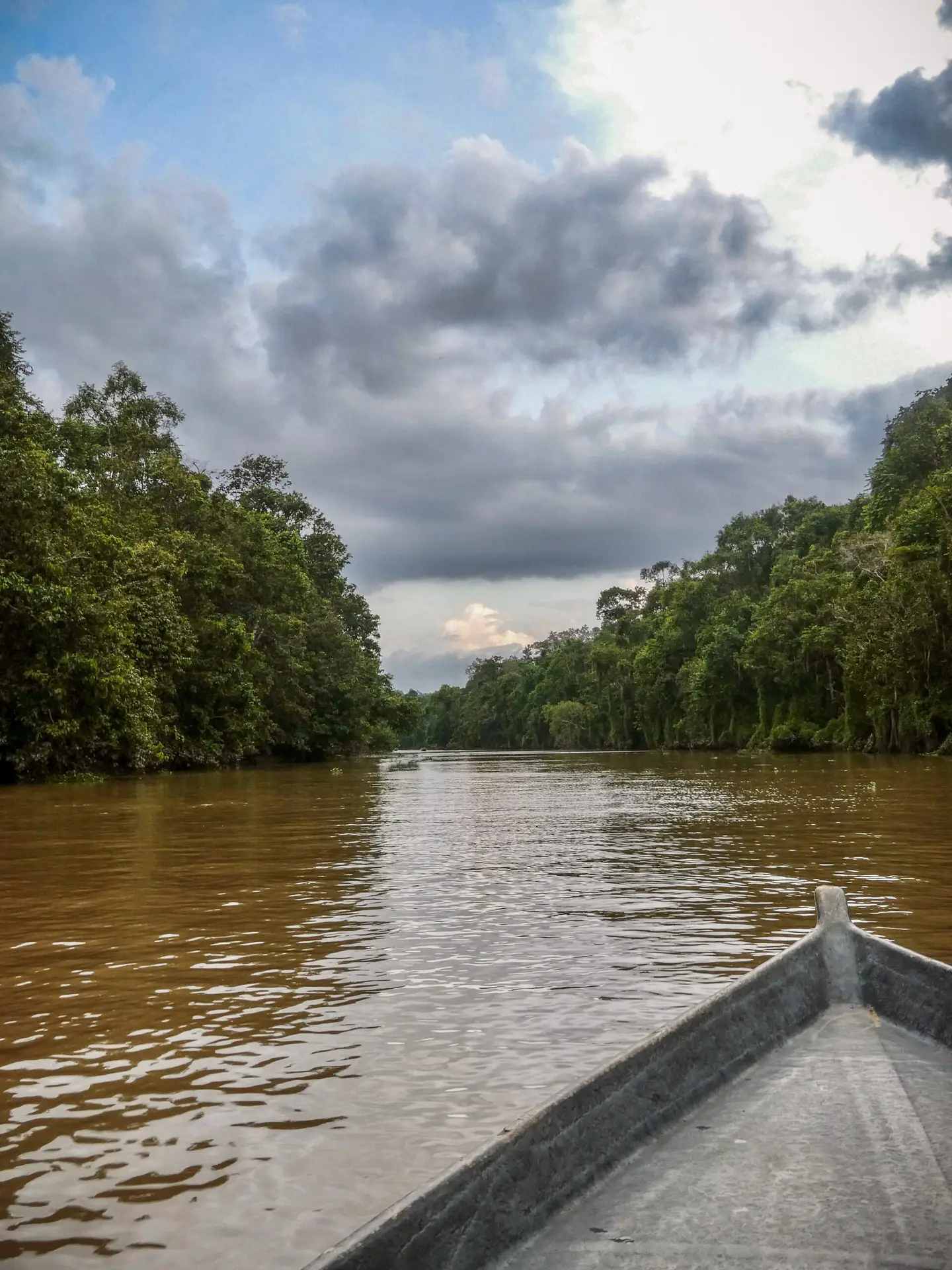 Cruising along the Kinabatangan River in Borneo