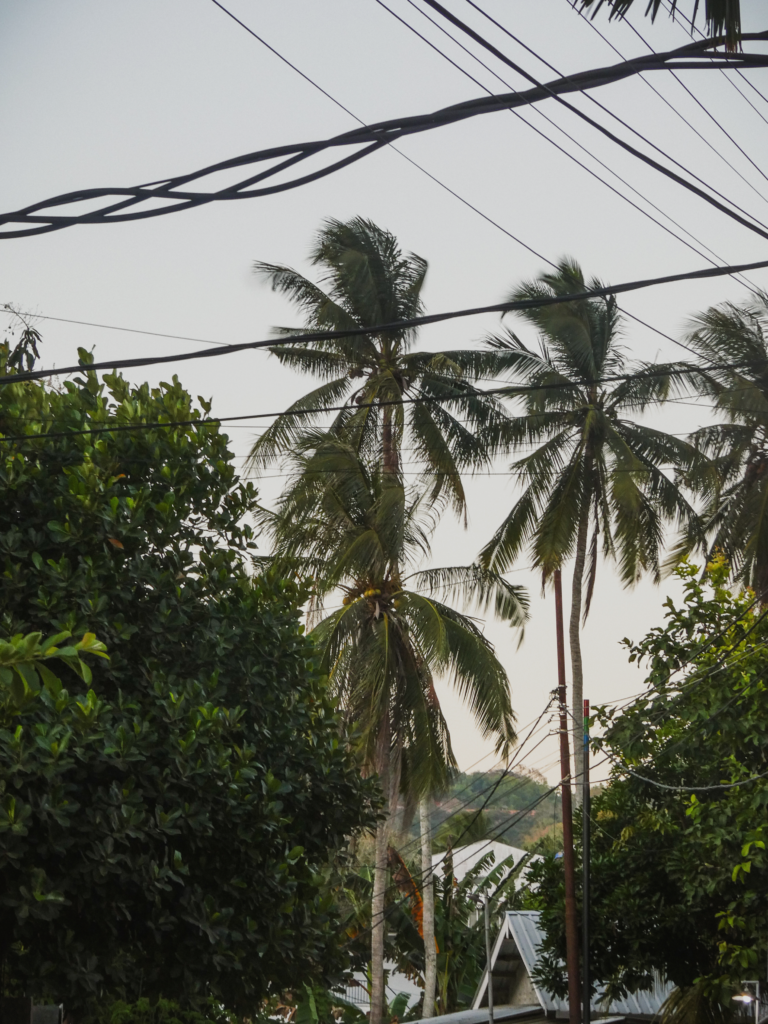 Kuta Lombok is a coastal town in southern Lombok