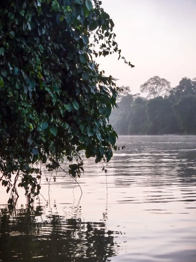 Early mornings on Kinabatangan River