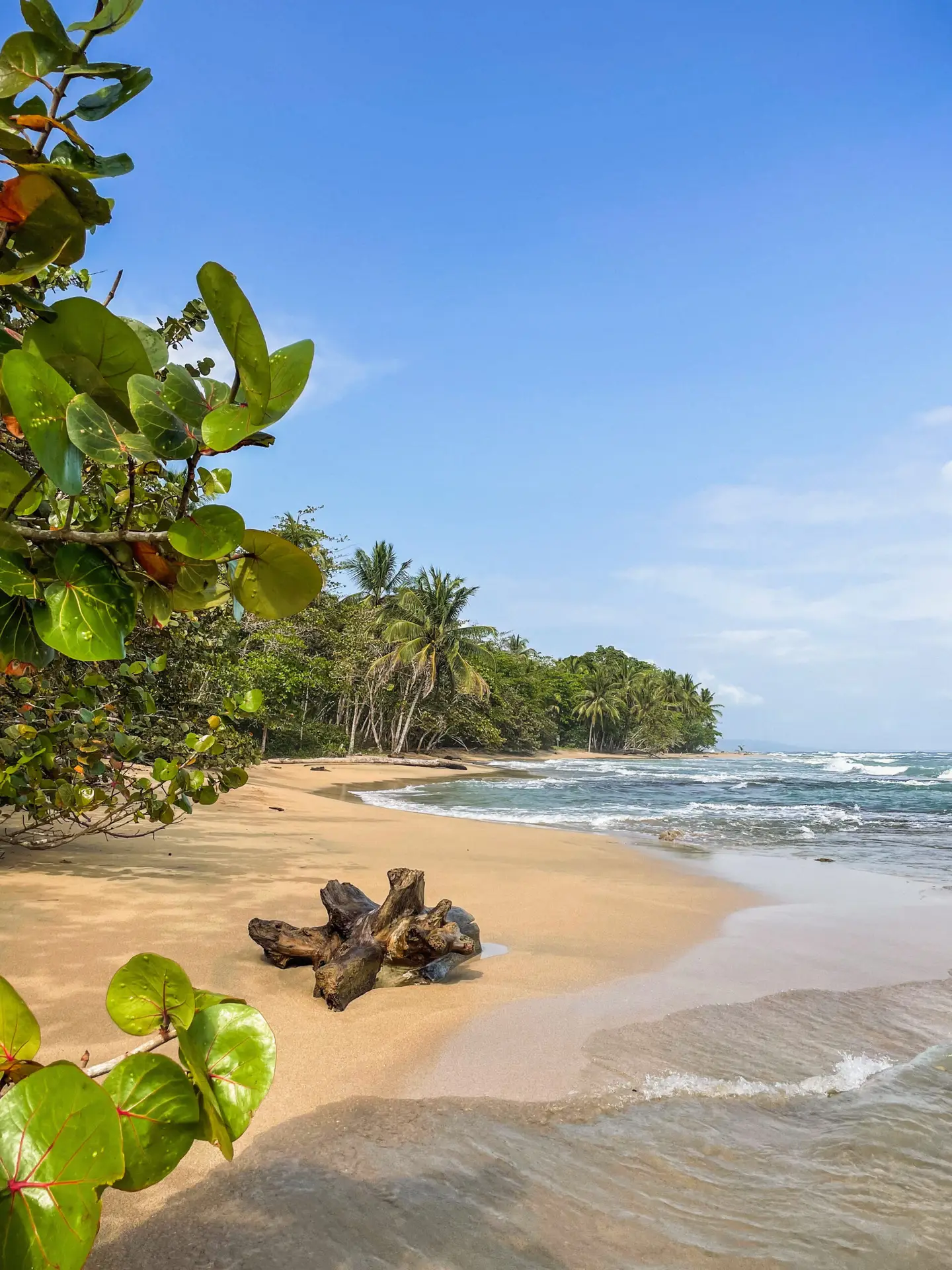 Visit Costa Rica and Playa Chiquita in Puerto Viejo