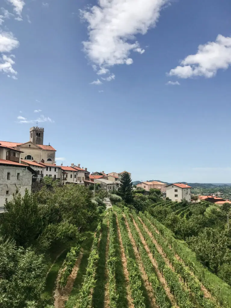 A beautiful view of the picturesque town Šmartno with its vines