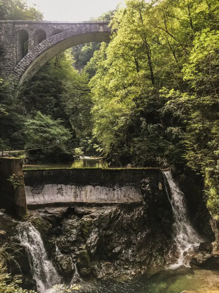 Dramatic scenery of the Vintgar Gorge in the Triglav National Park