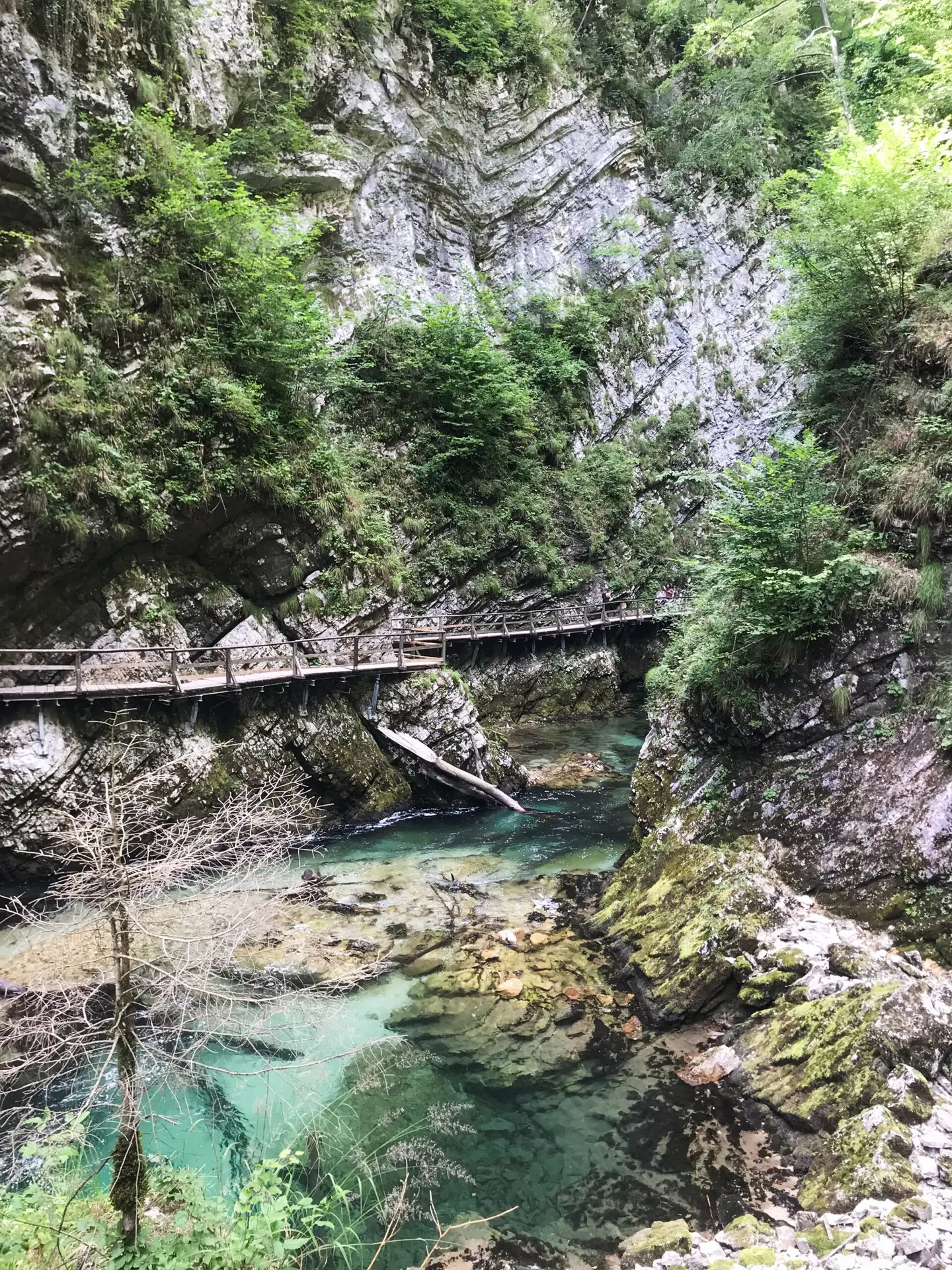 Turquoise water flowing through Vintgar Gorge, surrounded by steep, rocky cliffs and lush greenery