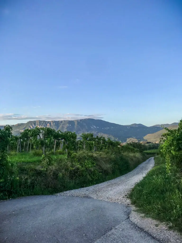 Vipava Valley surrounded by mountains