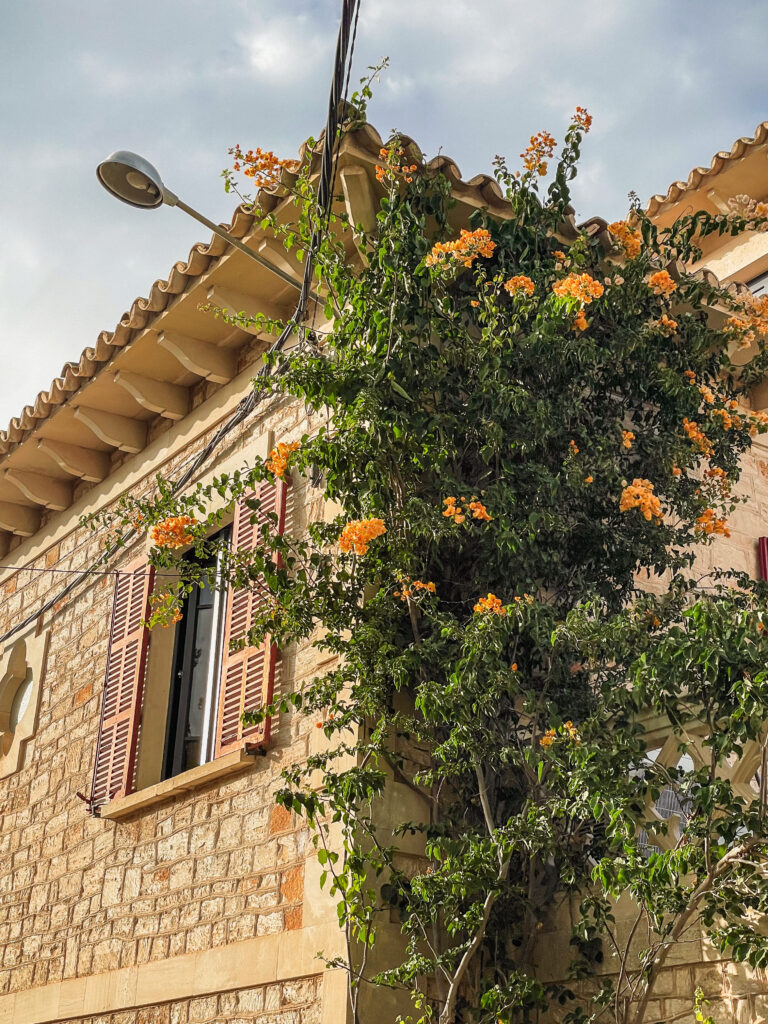 Flower arrangement covering the walls of Spanish houses