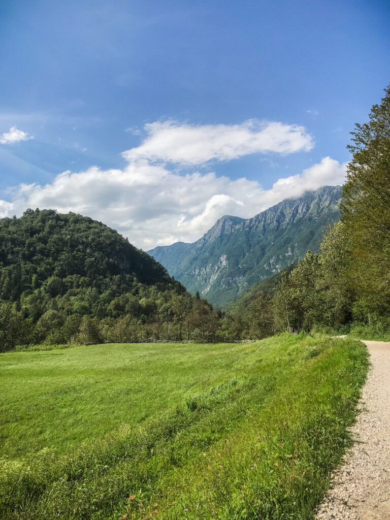 A hiking path taking you through Soča Valley