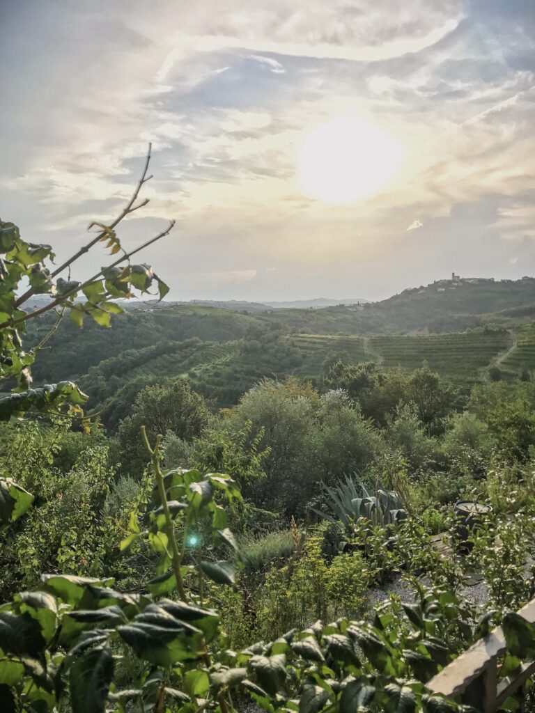 Summer sunset over Slovenia's wine regions