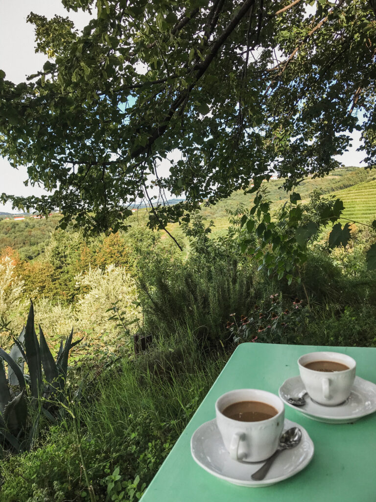 Coffee with a view of Slovenia's wine regions