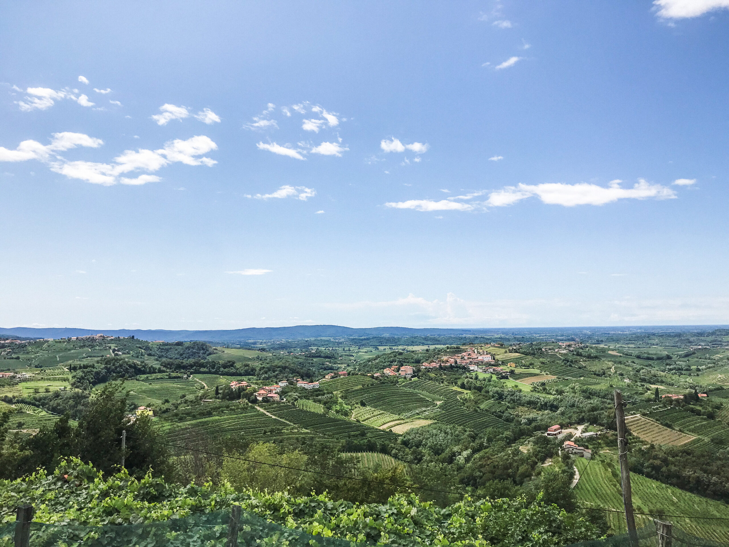 Goriška Brda is one of Slovenia's most beautiful wine regions. 