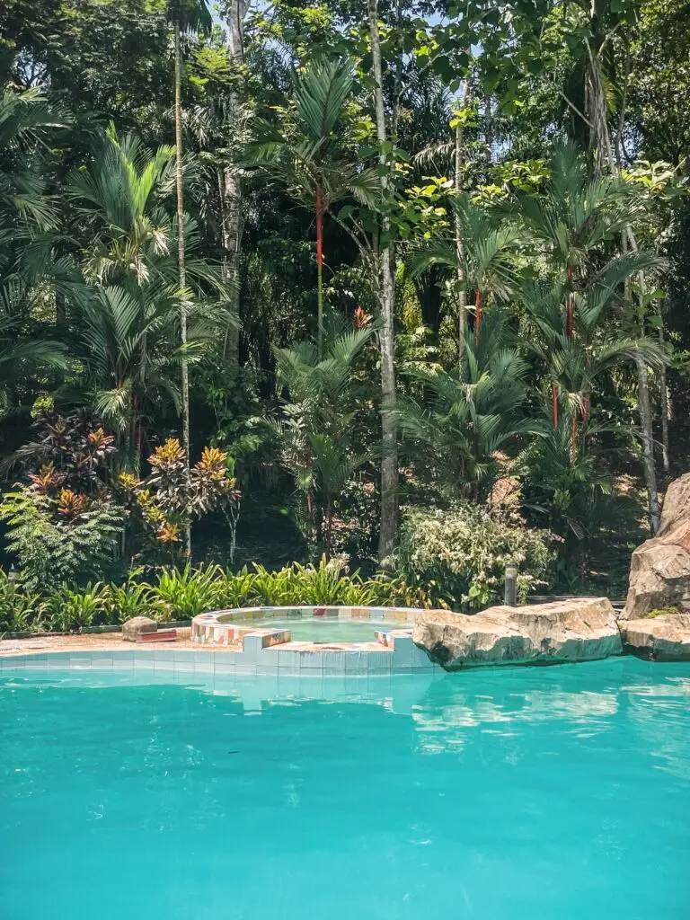 Pool area at Sepilok Jungle Resort