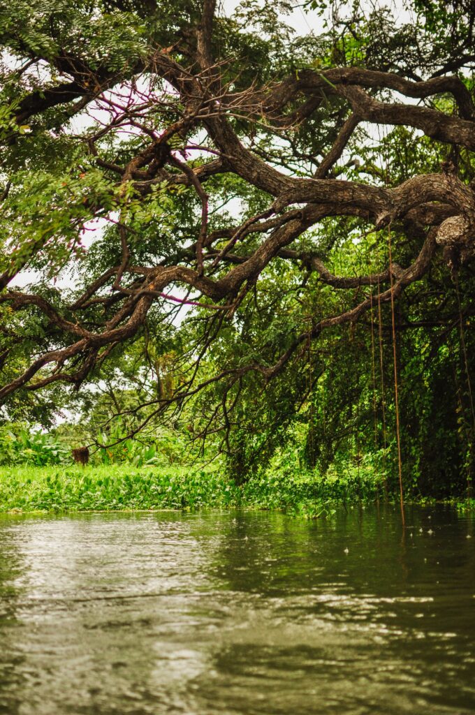 Kayaking Isletas de Granada is a must-do activity in Nicaragua