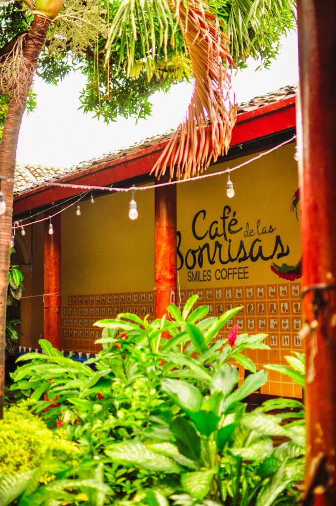 Beautiful vegetation at Cafe de las Sonrisas