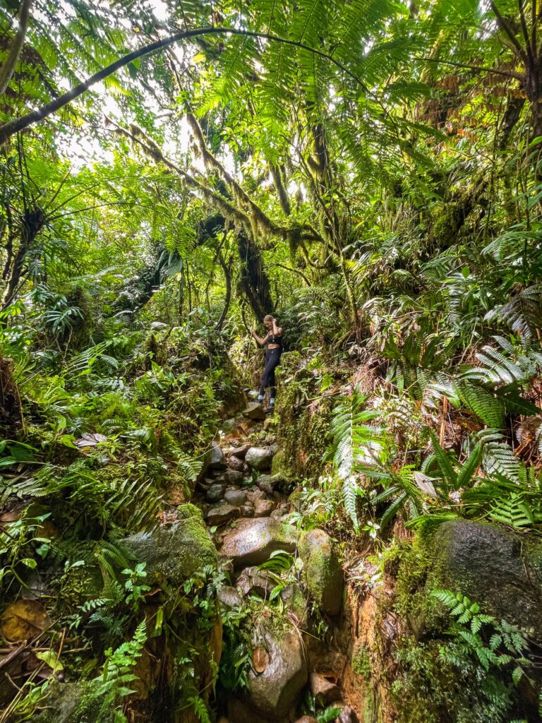 Hiking Maderas volcano