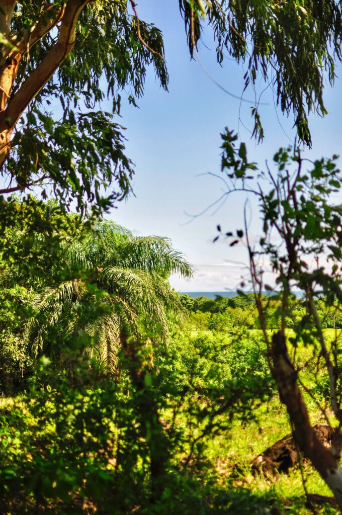 Ometepe island in Nicaragua