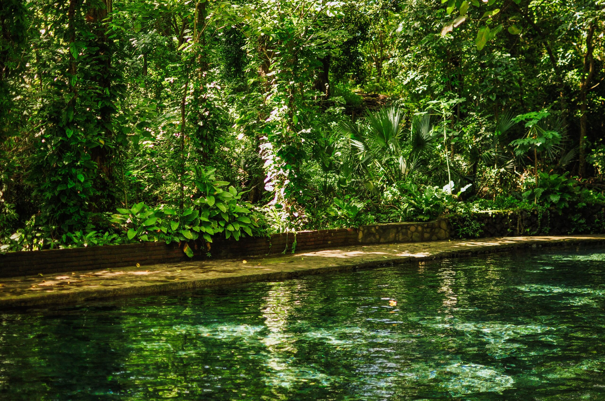 Swim in ojo de agua is a top thing to do in Ometepe