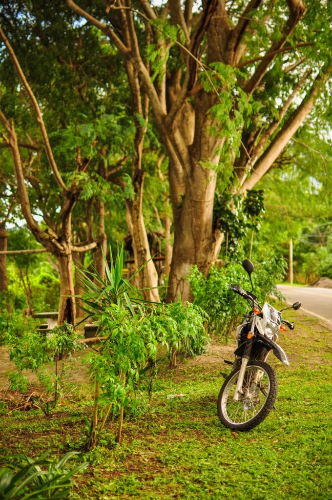 Motobike is the best way to get around in Ometepe