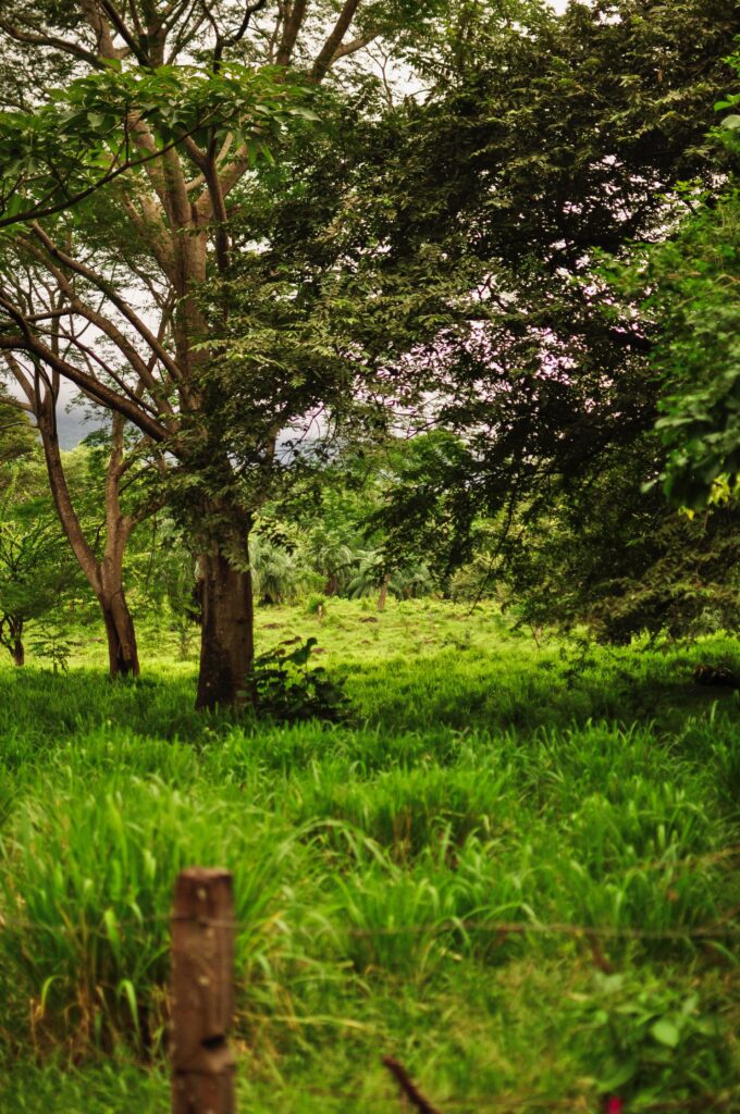 Ometepe island in Lake Nicaragua