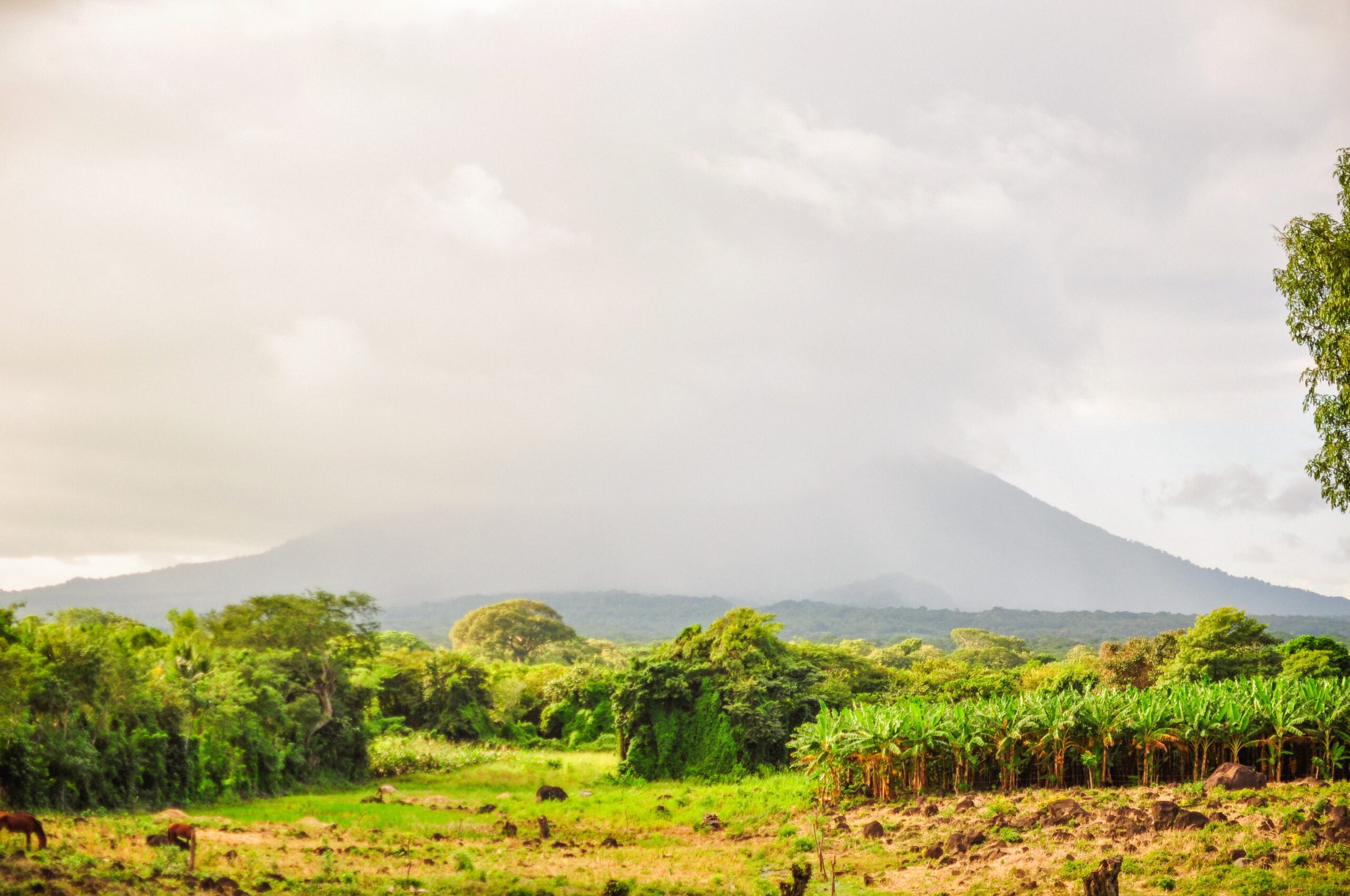 View of Concepción volcano in Ometepe