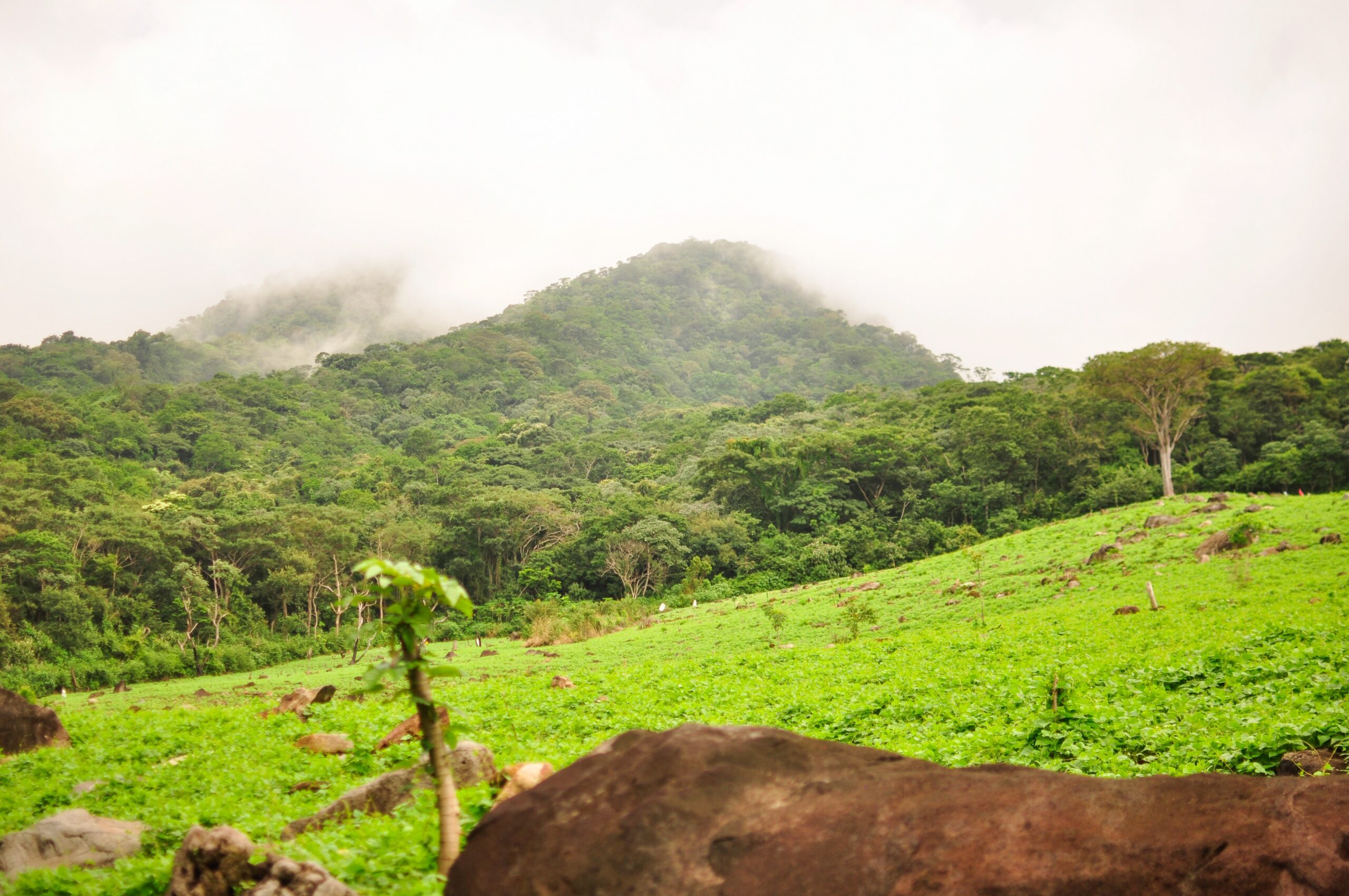 Beautiful sceneries in Ometepe