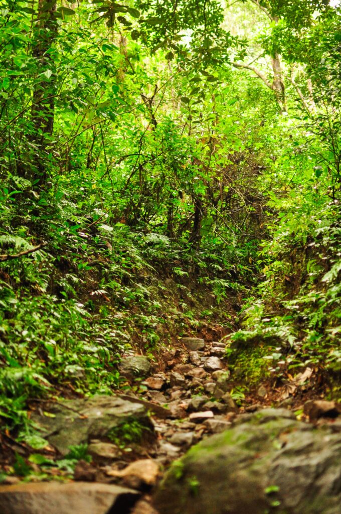 Rocky trails leading you to the San Ramón waterfall