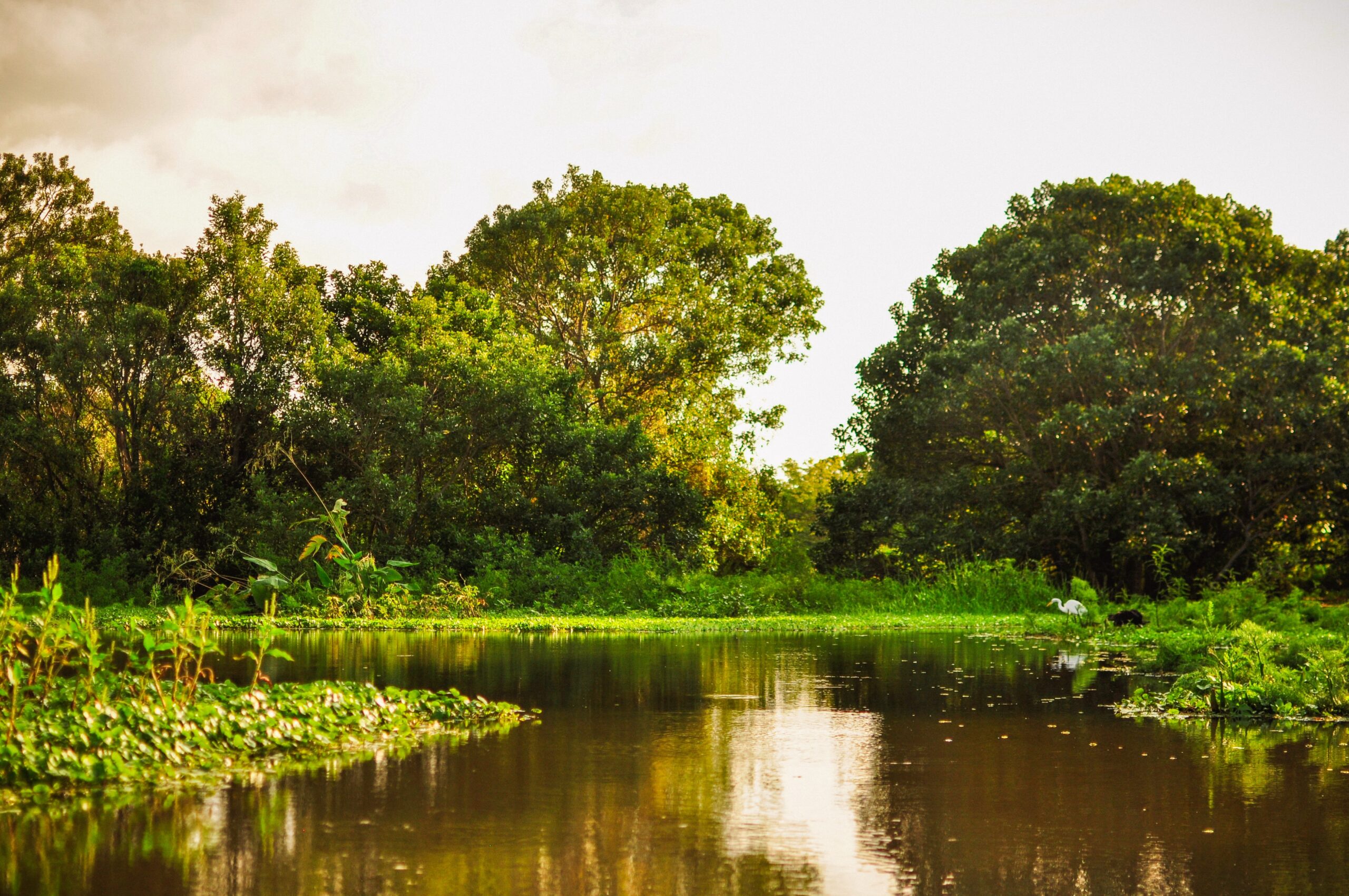 Golden hour at Rio Istián in Ometepe