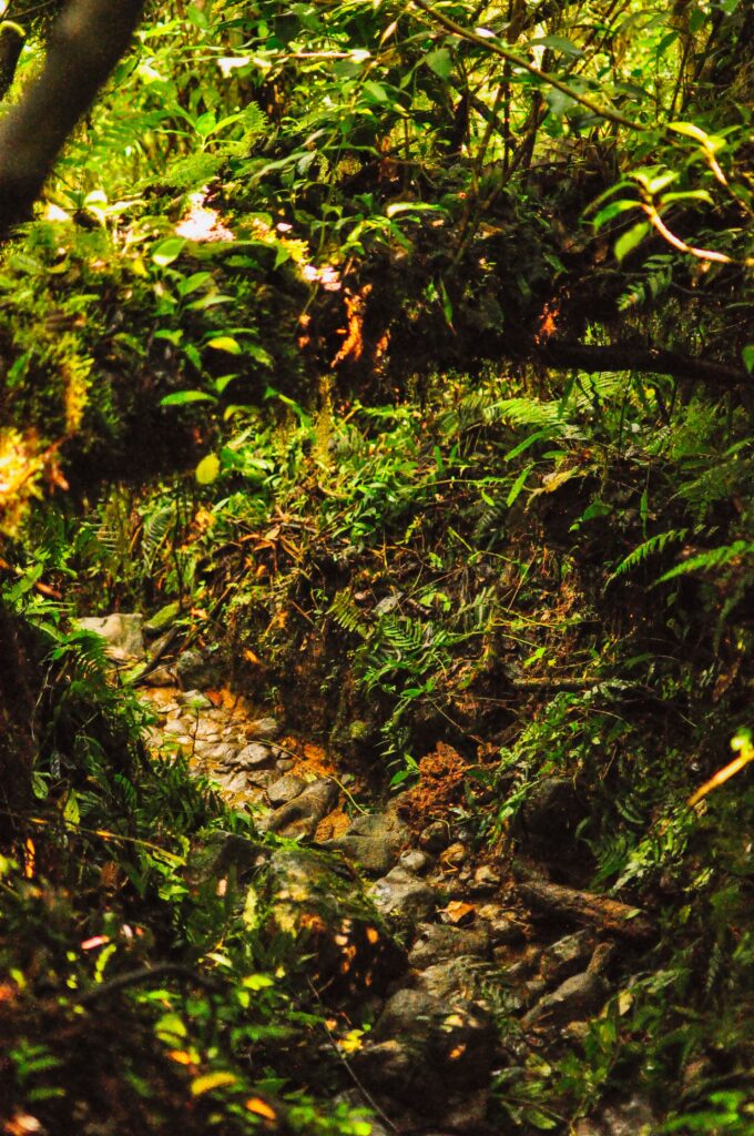 Rocky and muddy paths on the Maderas volcano hike