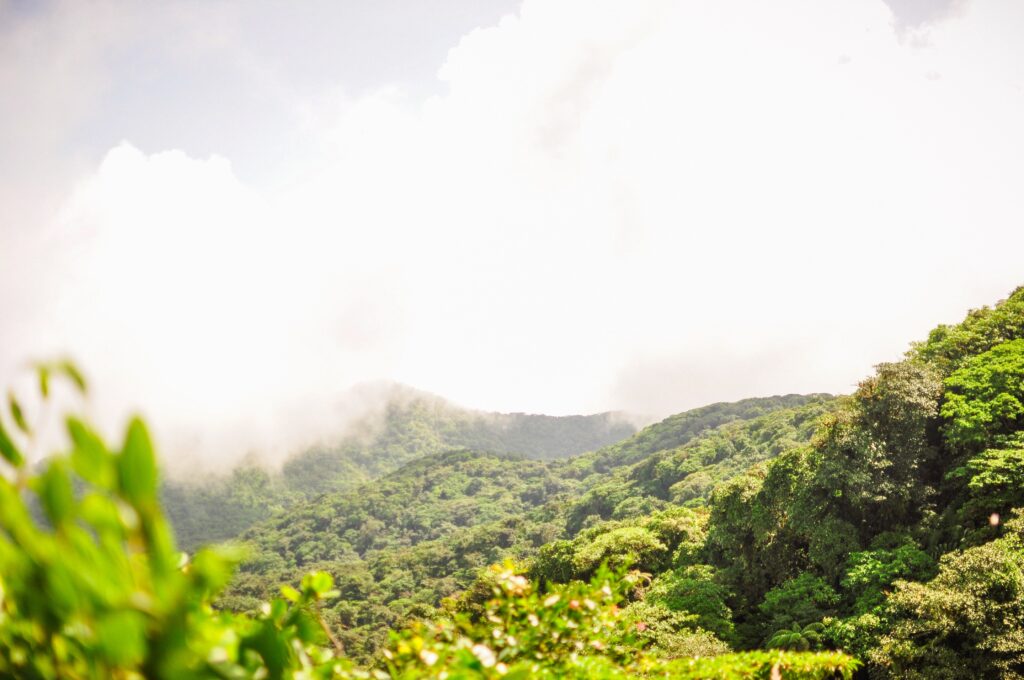 Above the clouds when hiking Maderas volcano