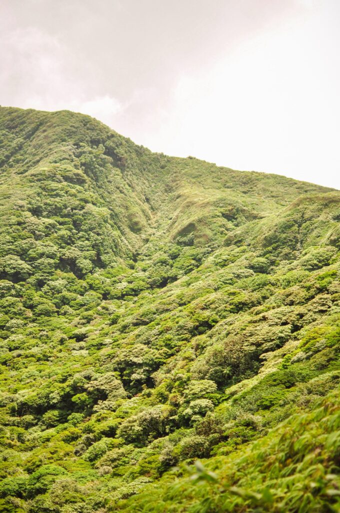 Tropical volcano crater